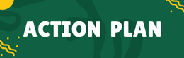 action plan