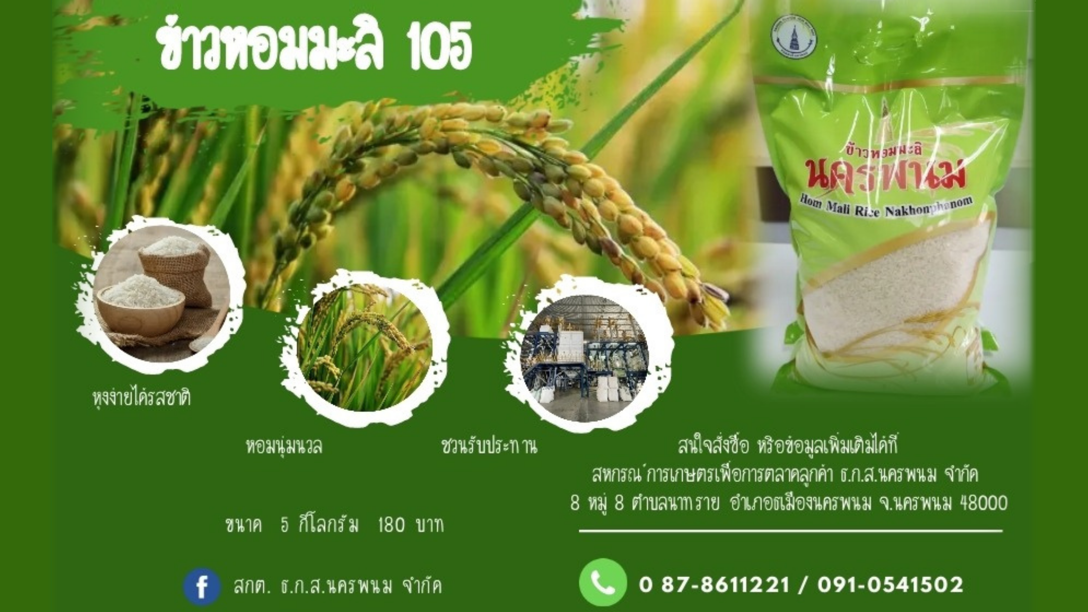 สกต.ธกส.นพ. จำกัด จำหน่ายข้าวหอมมะลิ 105