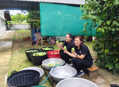 โครงการฝึกอบรมอาสาสมัครสหกรณ์ กิจกรรมพัฒนาอาสาสมัครสหกรณ์ ณ ... พารามิเตอร์รูปภาพ 9