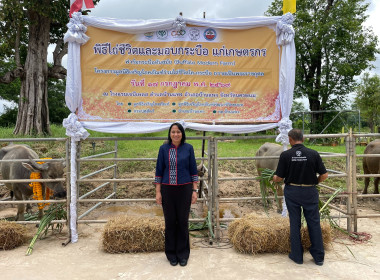 ผอ.กตส. พร้อมคณะ ร่วมพิธีไถ่ชีวิตและมอบกระบือ แก่เกษตรกร ... พารามิเตอร์รูปภาพ 14