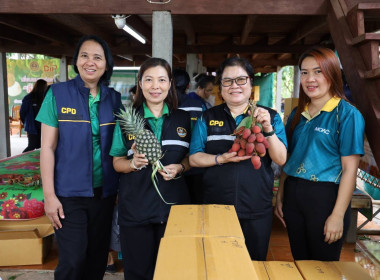 ศ.ดร.นฤมล ภิญโญสินวัฒน์ รมต.กระทรวงเกษตรและสหกรณ์ ... พารามิเตอร์รูปภาพ 13