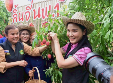ศ.ดร.นฤมล ภิญโญสินวัฒน์ รมต.กระทรวงเกษตรและสหกรณ์ ... พารามิเตอร์รูปภาพ 2