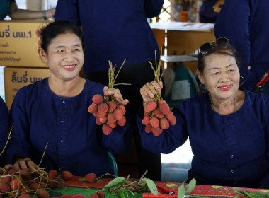 ศ.ดร.นฤมล ภิญโญสินวัฒน์ รมต.กระทรวงเกษตรและสหกรณ์ ... พารามิเตอร์รูปภาพ 12