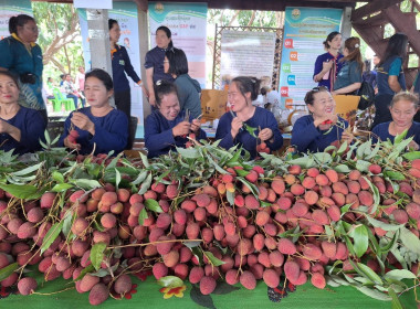 ศ.ดร.นฤมล ภิญโญสินวัฒน์ รมต.กระทรวงเกษตรและสหกรณ์ ... พารามิเตอร์รูปภาพ 16