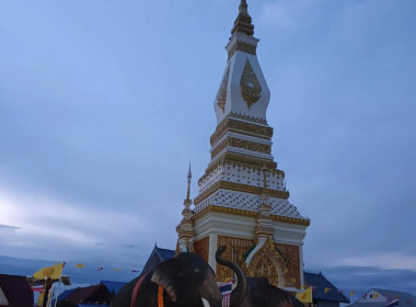 บุคลากรฝ่ายบริหารทั่วไป ... พารามิเตอร์รูปภาพ 1