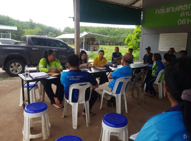 กลุ่มส่งเสริมสหกรณ์ 2 ... พารามิเตอร์รูปภาพ 3