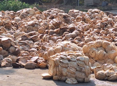 กพส.ลงพื้นที่ แนะนำ ส่งเสริม ... พารามิเตอร์รูปภาพ 7