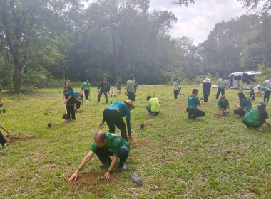 กิจกรรมวันต้นไม้ประจำปีของชาติ พ.ศ. 2568 พารามิเตอร์รูปภาพ 18