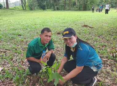 กิจกรรมวันต้นไม้ประจำปีของชาติ พ.ศ. 2568 พารามิเตอร์รูปภาพ 19