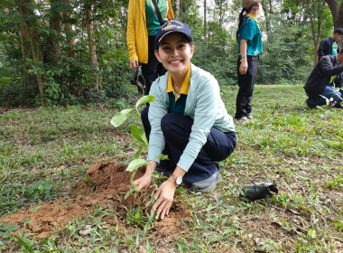 กิจกรรมวันต้นไม้ประจำปีของชาติ พ.ศ. 2568 พารามิเตอร์รูปภาพ 20