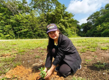 กิจกรรมวันต้นไม้ประจำปีของชาติ พ.ศ. 2568 พารามิเตอร์รูปภาพ 15