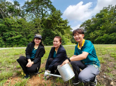 กิจกรรมวันต้นไม้ประจำปีของชาติ พ.ศ. 2568 พารามิเตอร์รูปภาพ 16