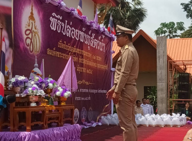 กิจกรรมปล่อยพันธุ์สัตว์น้ำ พารามิเตอร์รูปภาพ 1