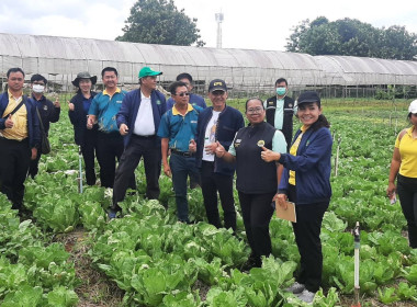 กลุ่มจัดตั้งและส่งเสริมสหกรณ์ ... พารามิเตอร์รูปภาพ 3