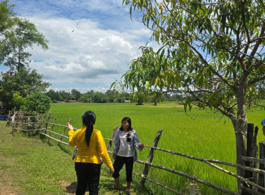 กบส.ลงพื้นที่เพื่อตรวจสอบการใช้เงินกู้กองทุนพัฒนาสหกรณ์ พารามิเตอร์รูปภาพ 6