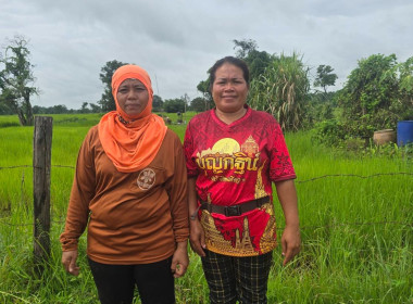 กบส.ลงพื้นที่ตรวจสอบการใช้เงินกู้กองทุนพัฒนาสหกรณ์ของสหกรณ์การเกษตรโคกสูงพัฒนา จำกัด ... พารามิเตอร์รูปภาพ 1