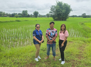 กบส.ลงพื้นที่ตรวจสอบการใช้เงินกู้กองทุนพัฒนาสหกรณ์ของสหกรณ์การเกษตรโคกสูงพัฒนา จำกัด ... พารามิเตอร์รูปภาพ 3