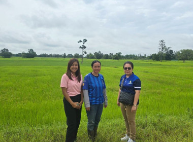กบส.ลงพื้นที่ตรวจสอบการใช้เงินกู้กองทุนพัฒนาสหกรณ์ของสหกรณ์การเกษตรโคกสูงพัฒนา จำกัด ... พารามิเตอร์รูปภาพ 4