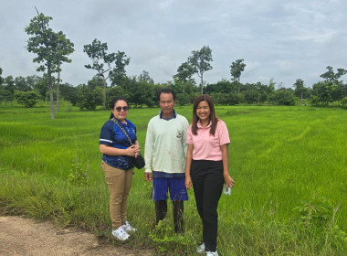 กบส.ลงพื้นที่ตรวจสอบการใช้เงินกู้กองทุนพัฒนาสหกรณ์ของสหกรณ์การเกษตรโคกสูงพัฒนา จำกัด ... พารามิเตอร์รูปภาพ 5