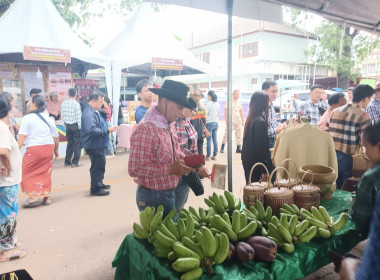 สหกรณ์จังหวัดนครพนม ... พารามิเตอร์รูปภาพ 12