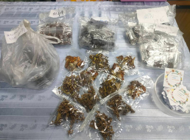 เปิดกิจกรรม “ธนาคารเมล็ดพันธุ์” ... พารามิเตอร์รูปภาพ 3