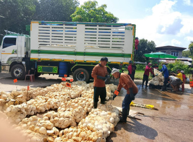 ผู้อำนวยการกสส.4 ตรวจเยี่ยมการดำเนินงานของสหกรณ์ฯ พารามิเตอร์รูปภาพ 2