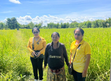 กบส. ลงพื้นที่เพื่อตรวจสอบการใช้เงินกู้กองทุนพัฒนาสหกรณ์ พารามิเตอร์รูปภาพ 1