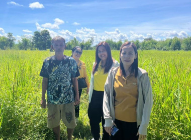 กบส. ลงพื้นที่เพื่อตรวจสอบการใช้เงินกู้กองทุนพัฒนาสหกรณ์ พารามิเตอร์รูปภาพ 2