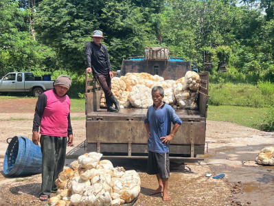 บุคลากรกสส. 4 ลงพื้นที่ติดตามการดำเนินงานของสหกรณ์ พารามิเตอร์รูปภาพ 1