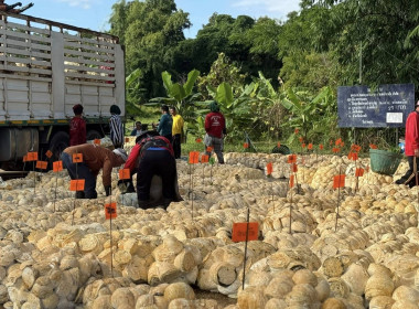 เจ้าหน้าที่กสส.4 ลงพื้นที่ติดตาม ... พารามิเตอร์รูปภาพ 4