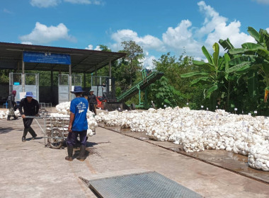 บุคลากรกสส.4 ... พารามิเตอร์รูปภาพ 5