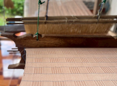 รองอธิบดีกรมส่งเสริมสหกรณ์ ลงพื้นที่จังหวัดนครพนม พารามิเตอร์รูปภาพ 15