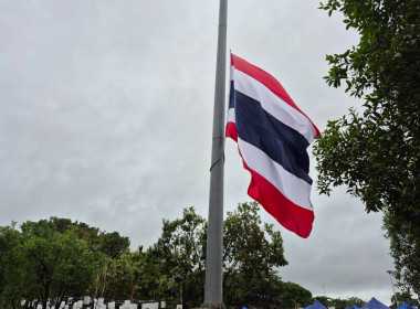 สหกรณ์จังหวัดนครพนม ร่วมกิจกรรมเคารพธงชาติและร้องเพลงชาติไทย พารามิเตอร์รูปภาพ 1