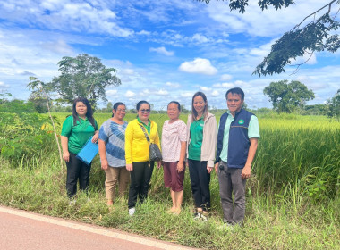 กบส.ลงพื้นที่เพื่อตรวจสอบการใช้เงินกู้กองทุนสงเคราะห์เกษตรกร พารามิเตอร์รูปภาพ 4
