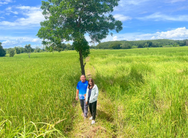 กบส.ลงพื้นที่เพื่อปฏิบัติงานตรวจสอบการใช้เงินกู้กองทุนสงเคราะห์เกษตรกร จำนวน 3 แห่ง ... พารามิเตอร์รูปภาพ 5