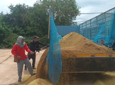 ผู้อำนวยการกลุ่มส่งเสริมสหกรณ์ 3 ... พารามิเตอร์รูปภาพ 4