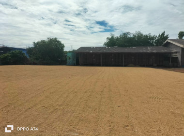 ผู้อำนวยการกลุ่มส่งเสริมสหกรณ์ 3 ... พารามิเตอร์รูปภาพ 1