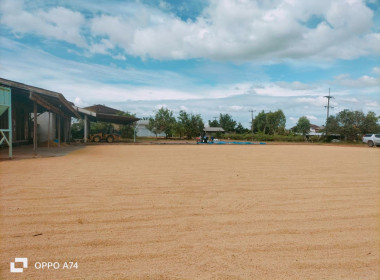 ผู้อำนวยการกลุ่มส่งเสริมสหกรณ์ 3 ... พารามิเตอร์รูปภาพ 6