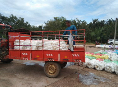 กสส.2 ... พารามิเตอร์รูปภาพ 4