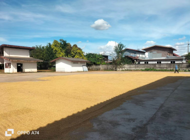 ผู้อำนวยการกลุ่มส่งเสริมสหกรณ์ 3 ... พารามิเตอร์รูปภาพ 3