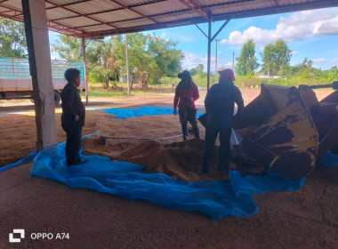 ผู้อำนวยการกลุ่มส่งเสริมสหกรณ์ 3 ... พารามิเตอร์รูปภาพ 1