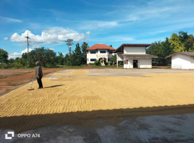 ผู้อำนวยการกลุ่มส่งเสริมสหกรณ์ 3 ... พารามิเตอร์รูปภาพ 4