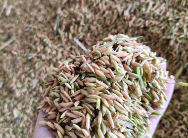 สหกรณ์จังหวัดนครพนม ... พารามิเตอร์รูปภาพ 1