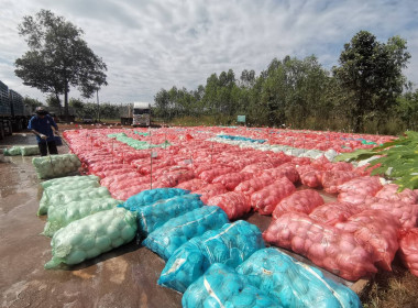 เจ้าหน้าที่กลุ่มส่งเสริมสหกรณ์ 5 ... พารามิเตอร์รูปภาพ 1