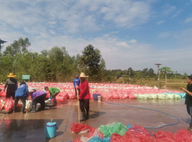 เจ้าหน้าที่กลุ่มส่งเสริมสหกรณ์ 5 ... พารามิเตอร์รูปภาพ 2