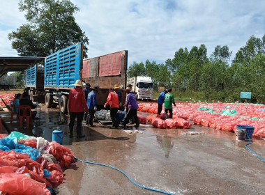 เจ้าหน้าที่กลุ่มส่งเสริมสหกรณ์ 5 ... พารามิเตอร์รูปภาพ 3