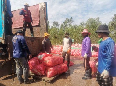 เจ้าหน้าที่กลุ่มส่งเสริมสหกรณ์ 5 ... พารามิเตอร์รูปภาพ 4