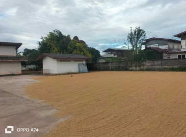 ผู้อำนวยการกลุ่มส่งเสริมสหกรณ์ 3 ... พารามิเตอร์รูปภาพ 1