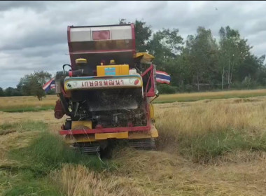 ผู้อำนวยการกลุ่มส่งเสริมสหกรณ์ 3 ... พารามิเตอร์รูปภาพ 5