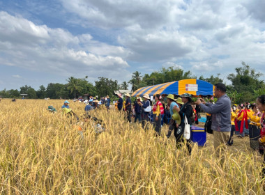 กลุ่มส่งเสริมสหกรณ์ 4 ... พารามิเตอร์รูปภาพ 2